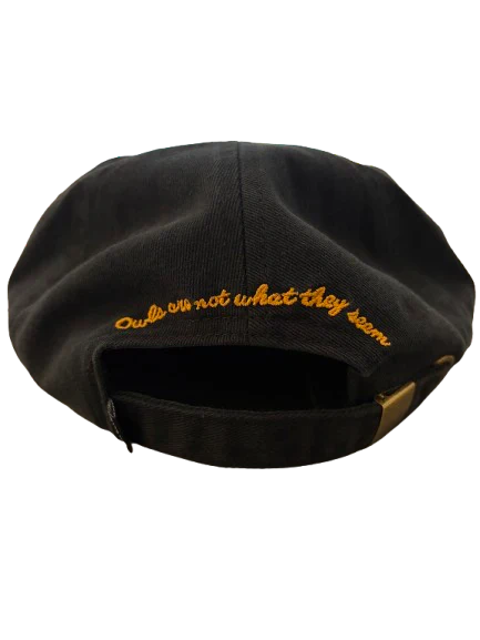 Theories ~ NOT WHAT THEY SEEM Strapback Hat (Black)